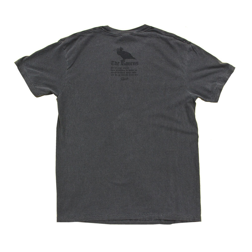 2024 FES T-shirt（Gray）