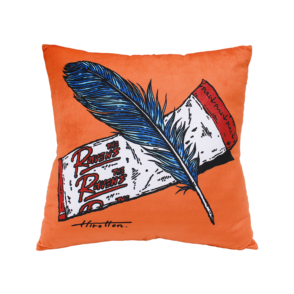 The Ravens  BAND-AID album jacket cushion